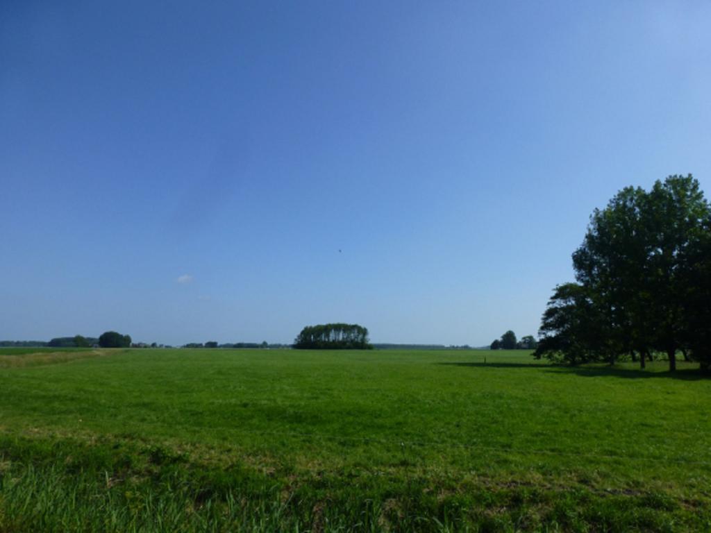 Lutje Hoeske Tinallinge 外观 照片